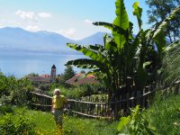 ein Bild aus dem Album