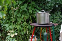 ein Bild aus dem Album